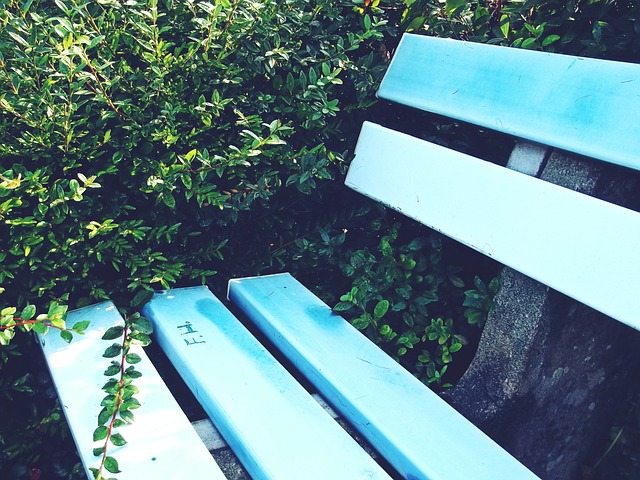 现出高度的 现出高度的