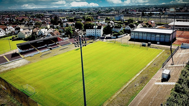 在日后的比 在日后的比