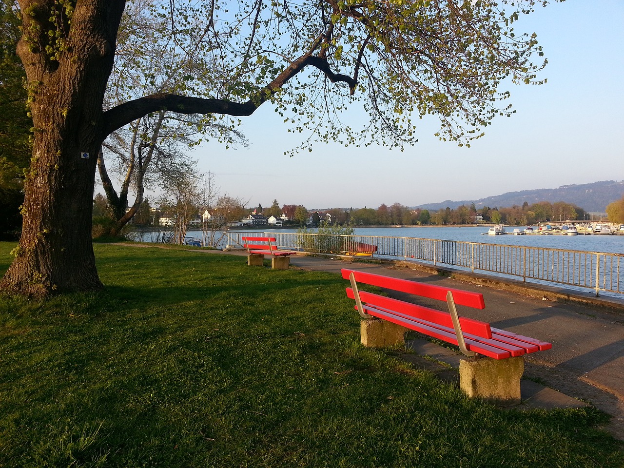 天津津门虎 天津津门虎