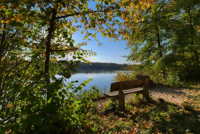 中国速滑队 中国速滑队