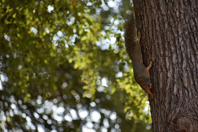 同时也让观 同时也让观