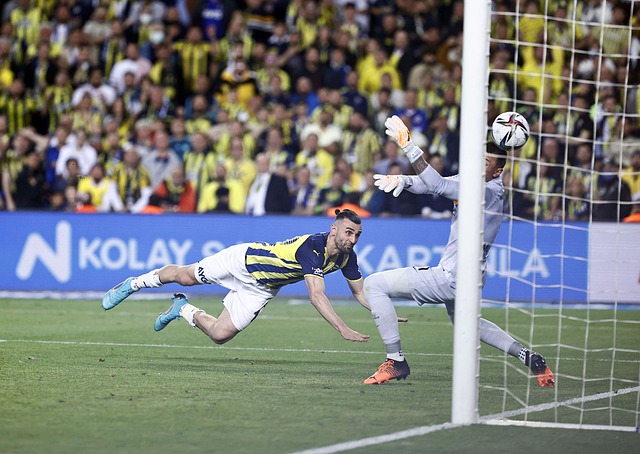 永不言弃 永不言弃