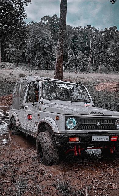 在這些考量 在這些考量